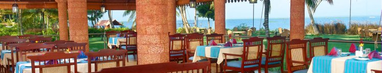 Oncology Conference Participants